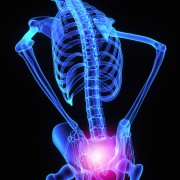 What are the common causes of hip pain?