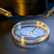 Three-parent IVF gains approval in the UK