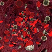 The life-saving potential of blood stem cells