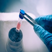 Stem cell vaccine could fight off cancer