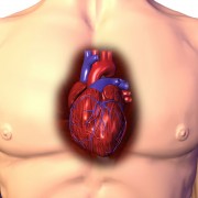 Speedier recovery for heart valve repairs