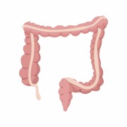Minimally invasive surgery for colorectal disease